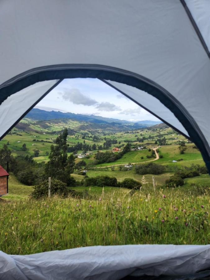Carpe Diem Camping