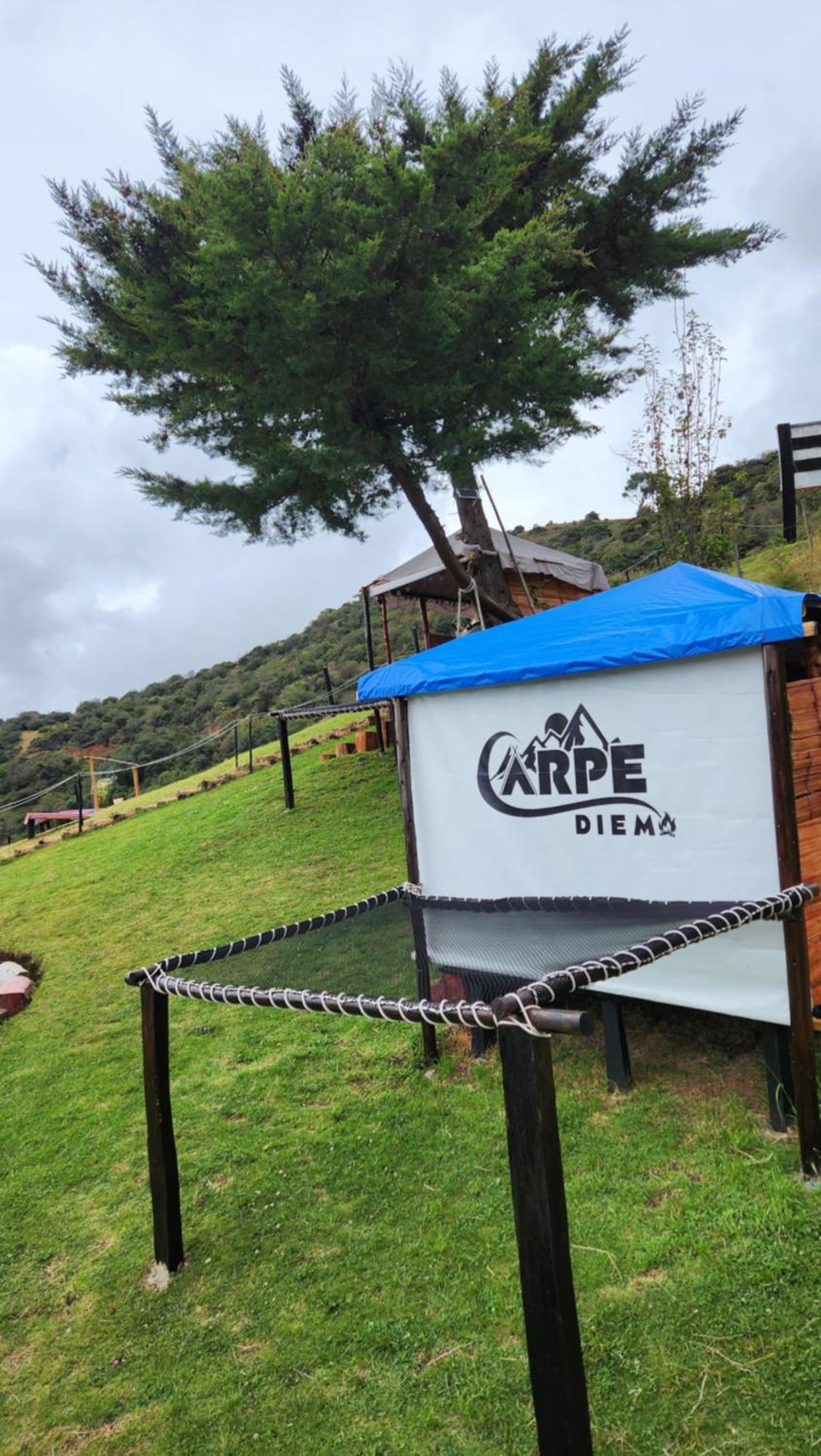 Carpe Diem *